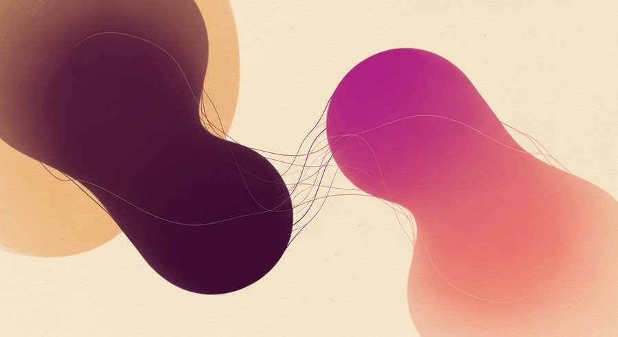 Dialogue — exchange between practitioners